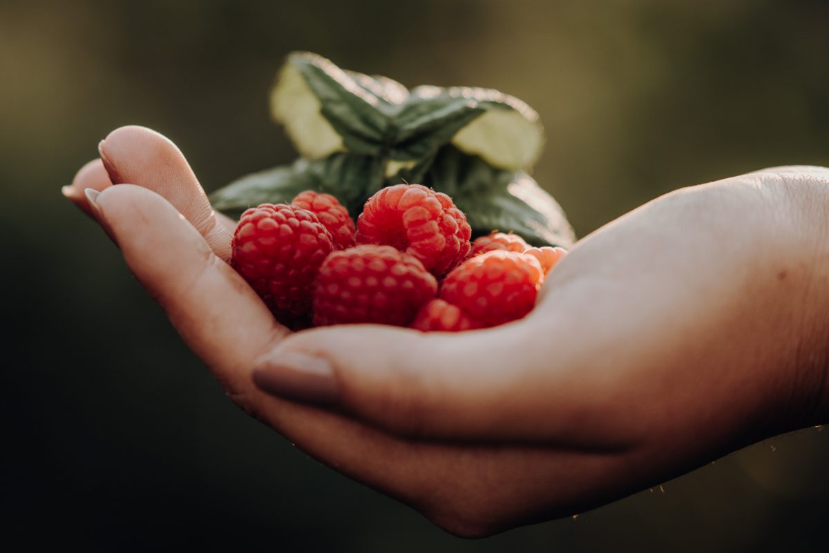 Bobby's Himbeeren ab September